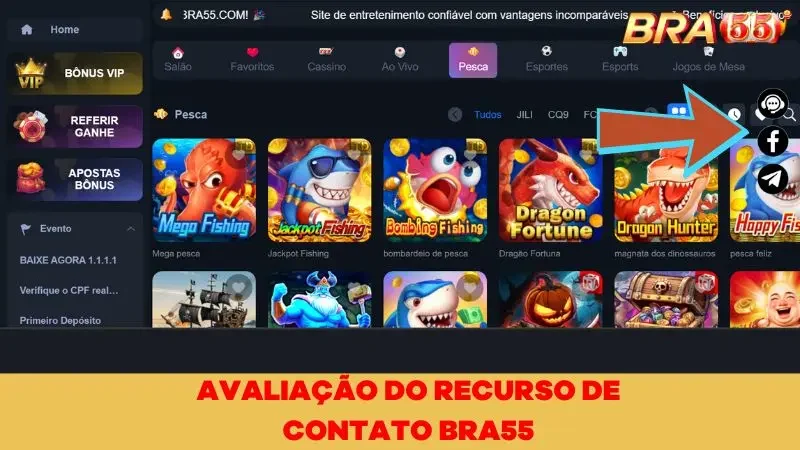 Avaliação do Suporte do BRA55