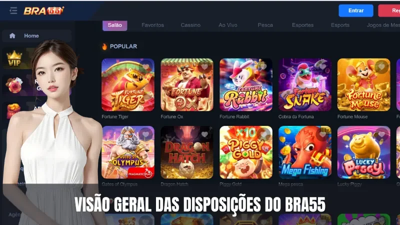 Visão geral dos Termos da BRA55